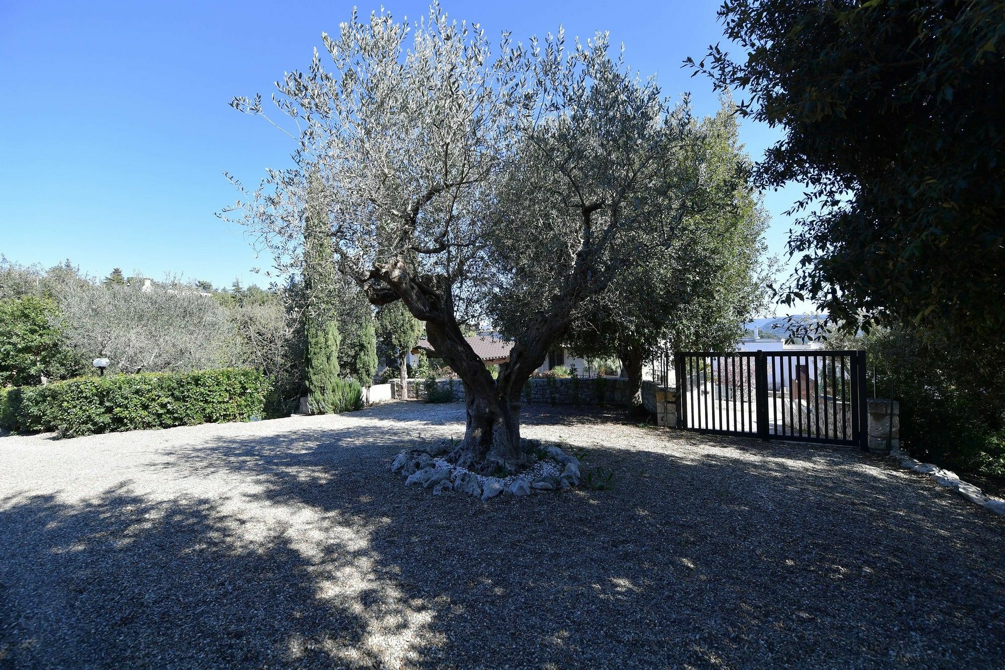 Villa Silvana ファザーノ エクステリア 写真
